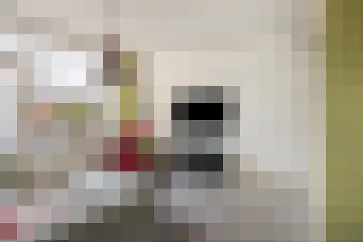 Ganzenoord 4 Rotterdam thumbnail 6