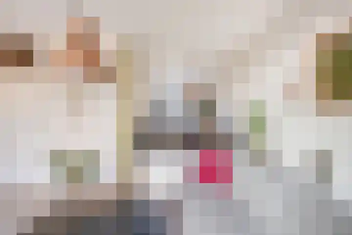 Ganzenoord 4 Rotterdam thumbnail 7