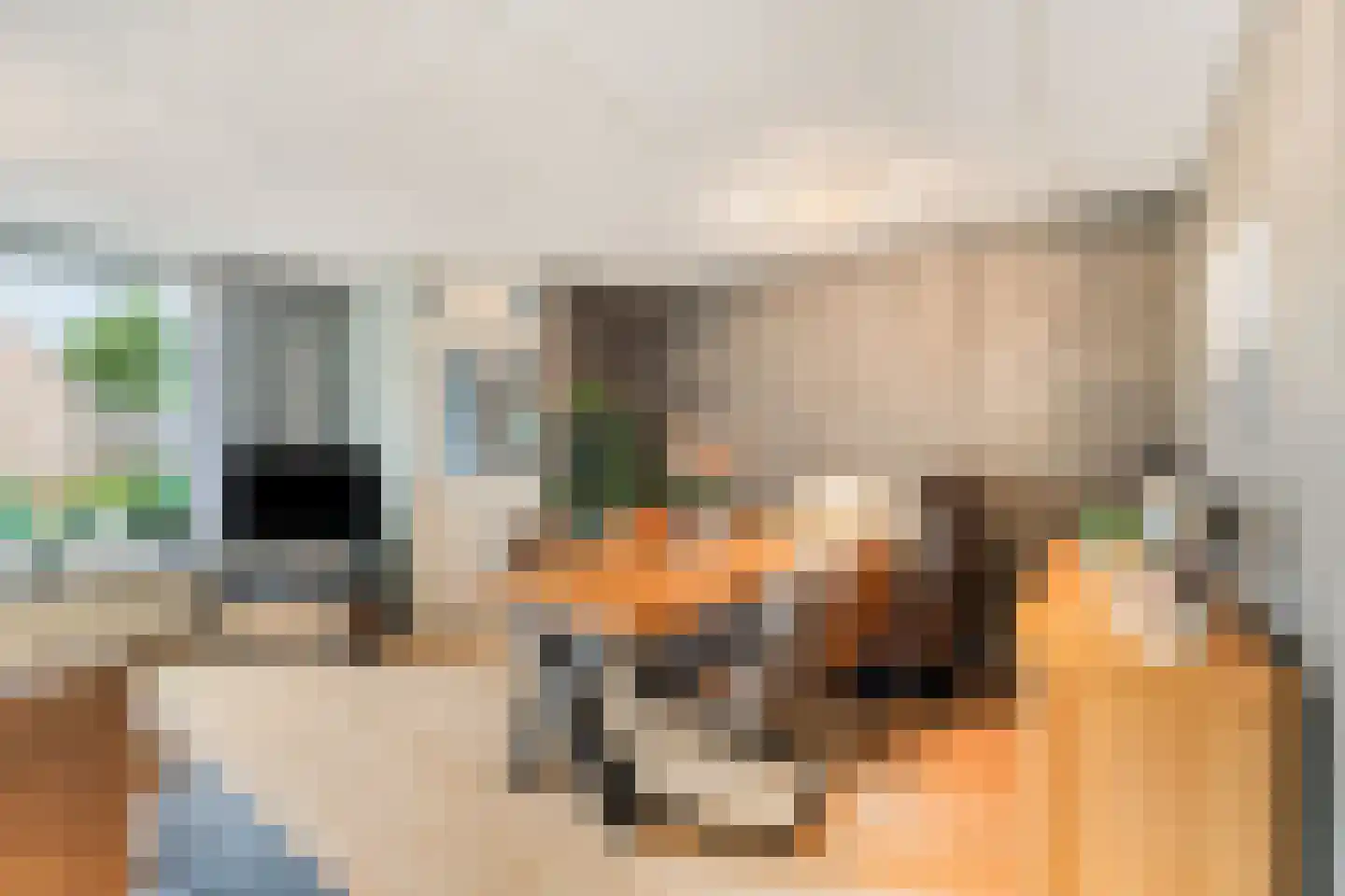 Ganzenpad 4 Groet thumbnail 13