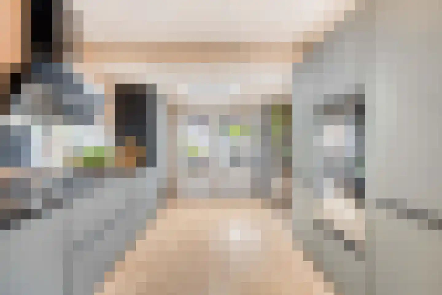 Ganzenpad 4 Groet thumbnail 16