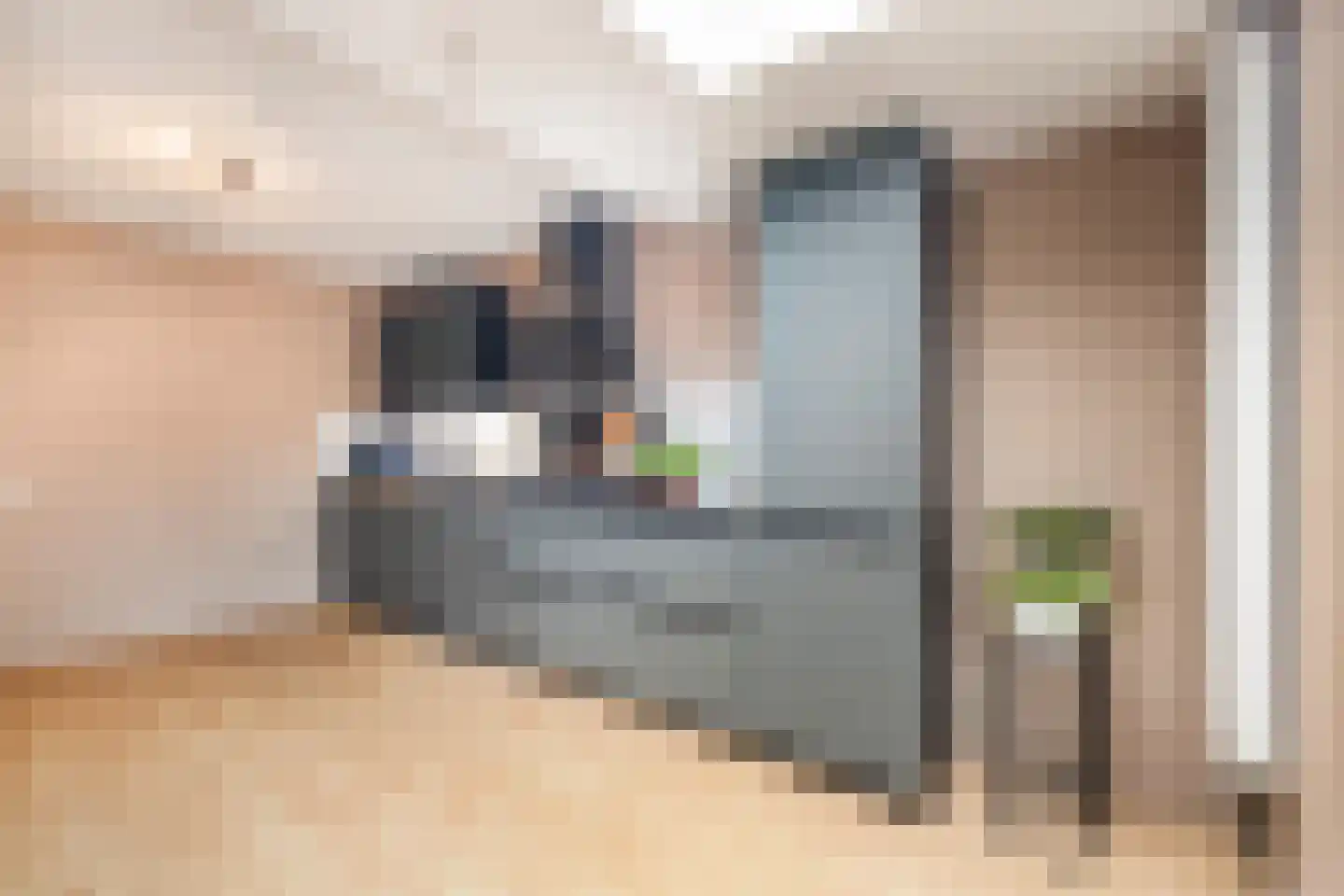 Ganzenpad 4 Groet thumbnail 17