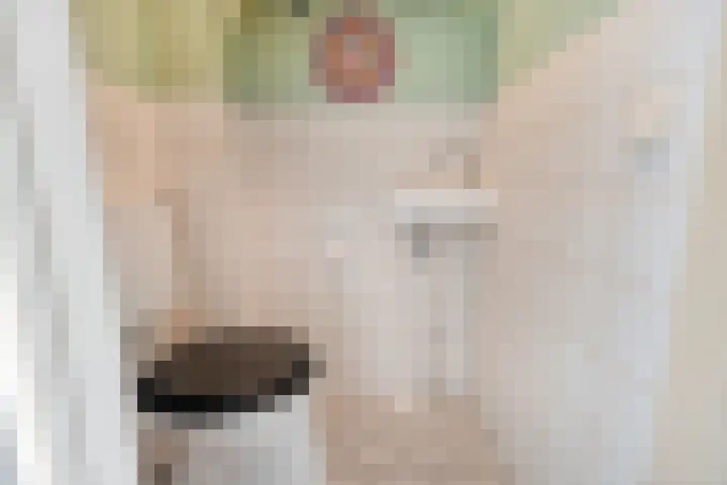 Ganzenpad 4 Groet thumbnail 20