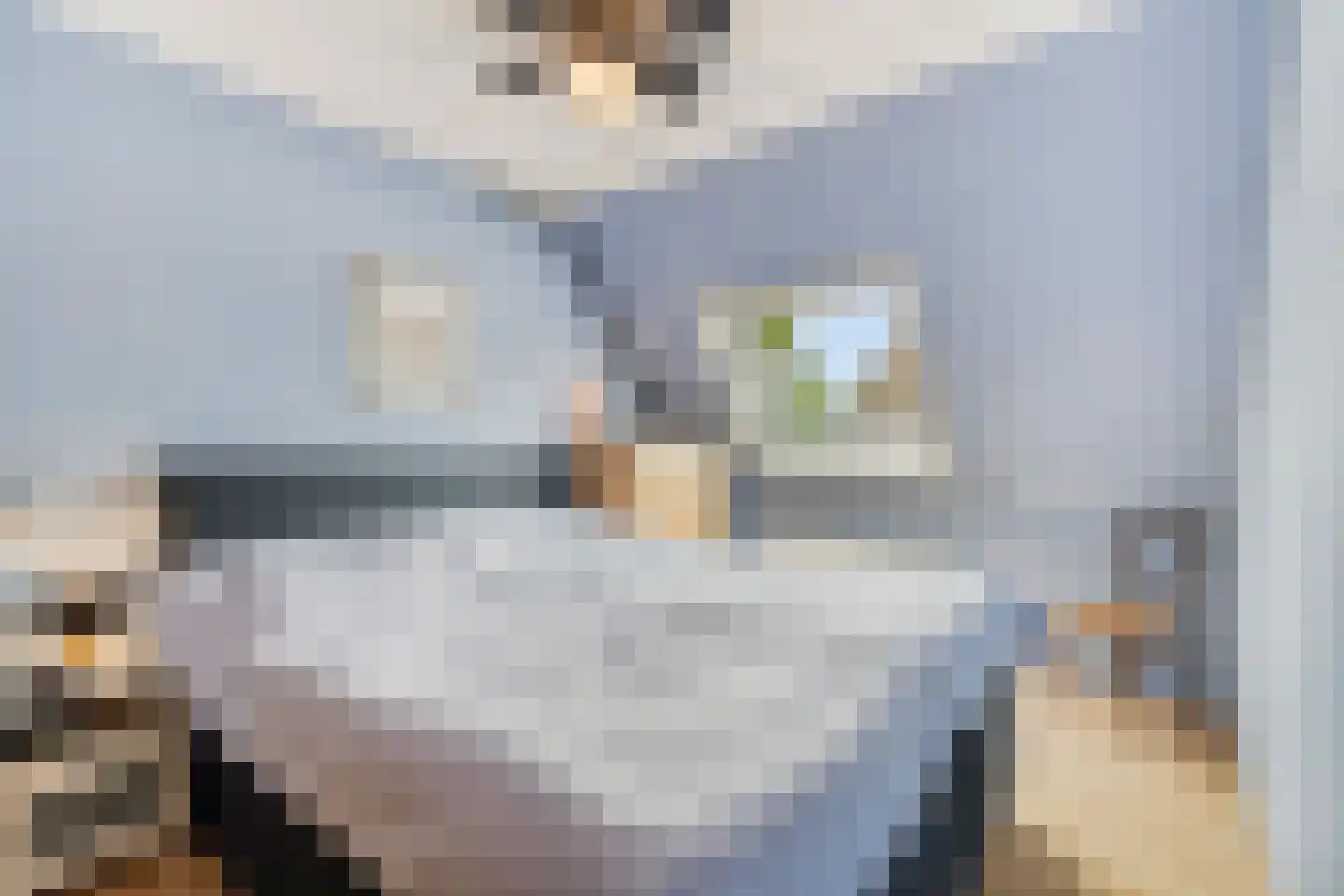 Ganzenpad 4 Groet thumbnail 23