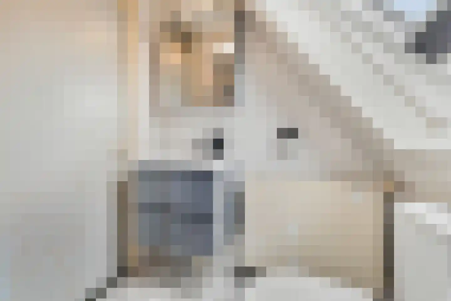 Ganzenpad 4 Groet thumbnail 31