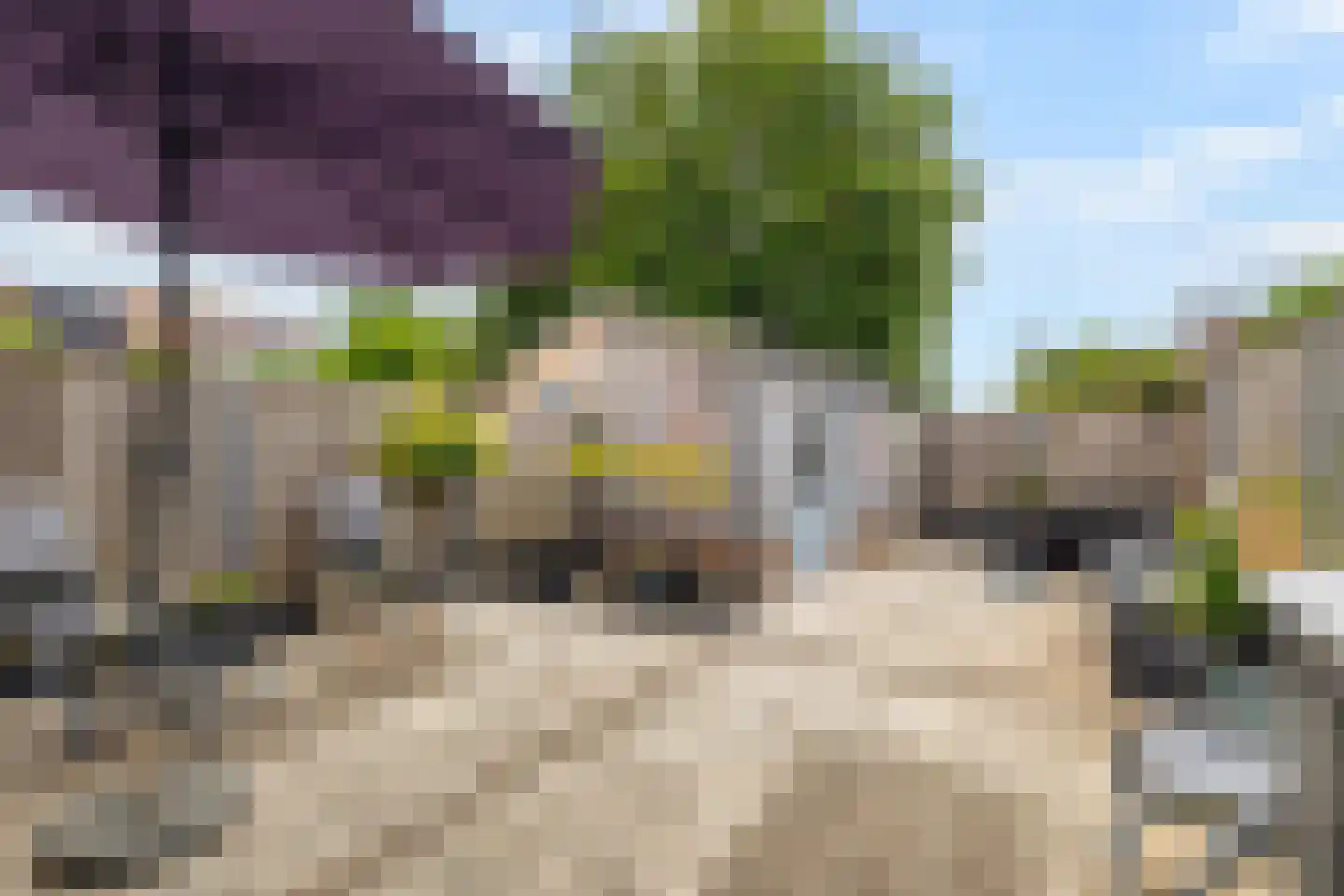 Ganzenpad 4 Groet thumbnail 34