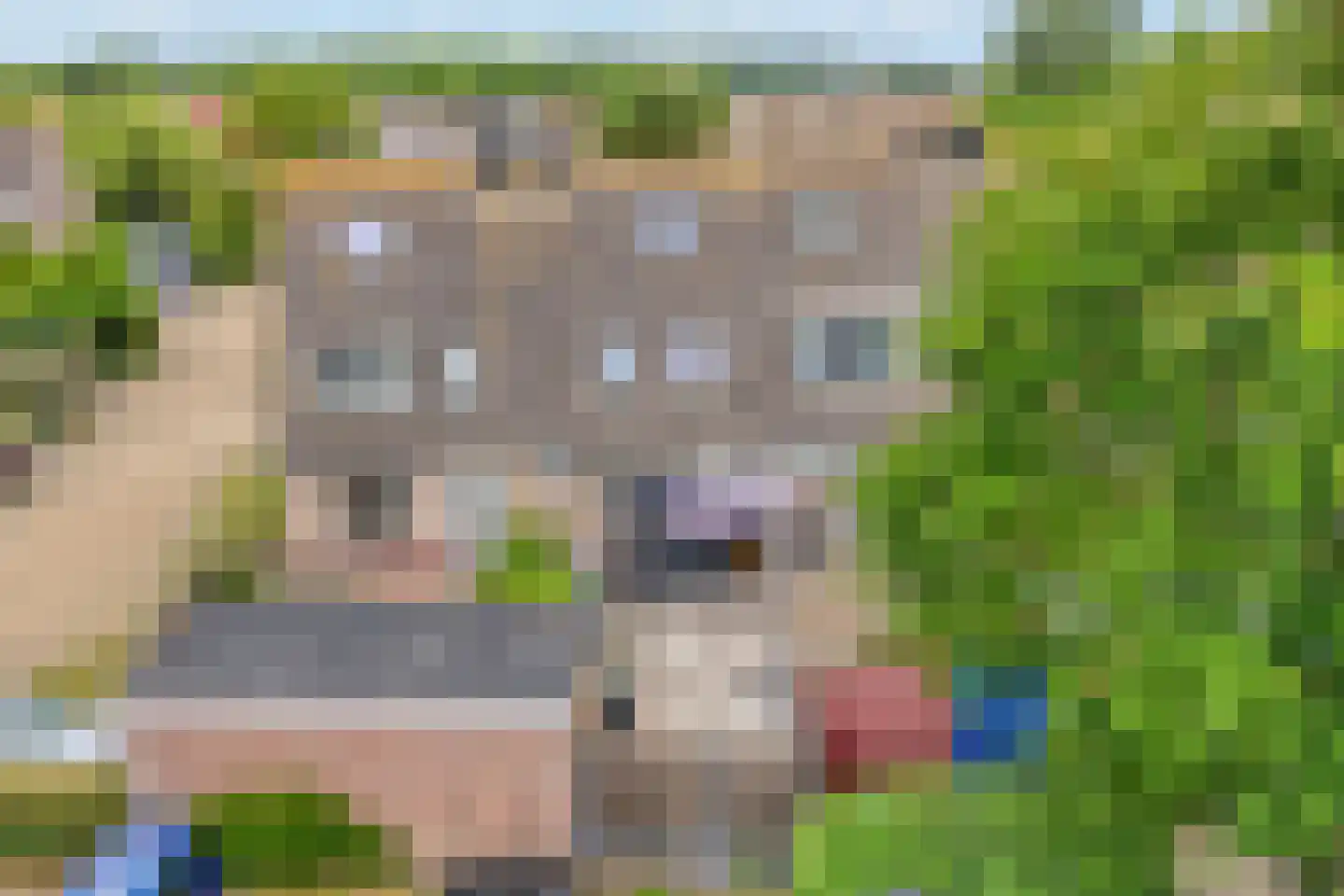 Ganzenpad 4 Groet thumbnail 38