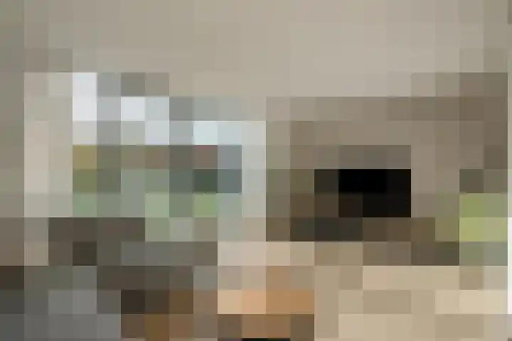 Ganzenplantsoen 26 Den Haag thumbnail 11