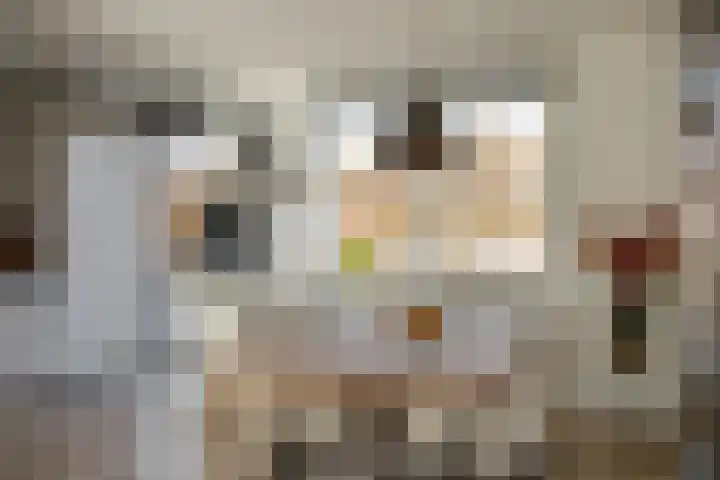 Ganzenplantsoen 26 Den Haag thumbnail 12