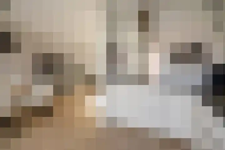 Ganzenplantsoen 26 Den Haag thumbnail 14