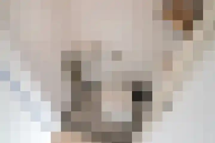 Ganzenplantsoen 26 Den Haag thumbnail 19
