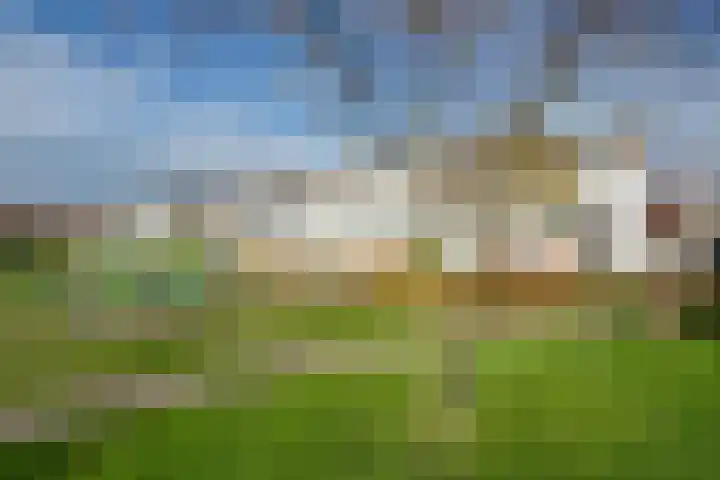 Ganzenplantsoen 26 Den Haag thumbnail 36