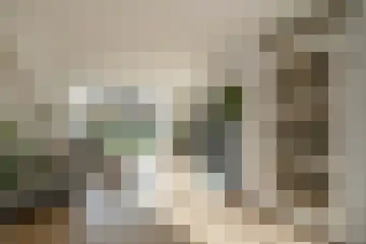 Ganzenplantsoen 26 Den Haag thumbnail 7