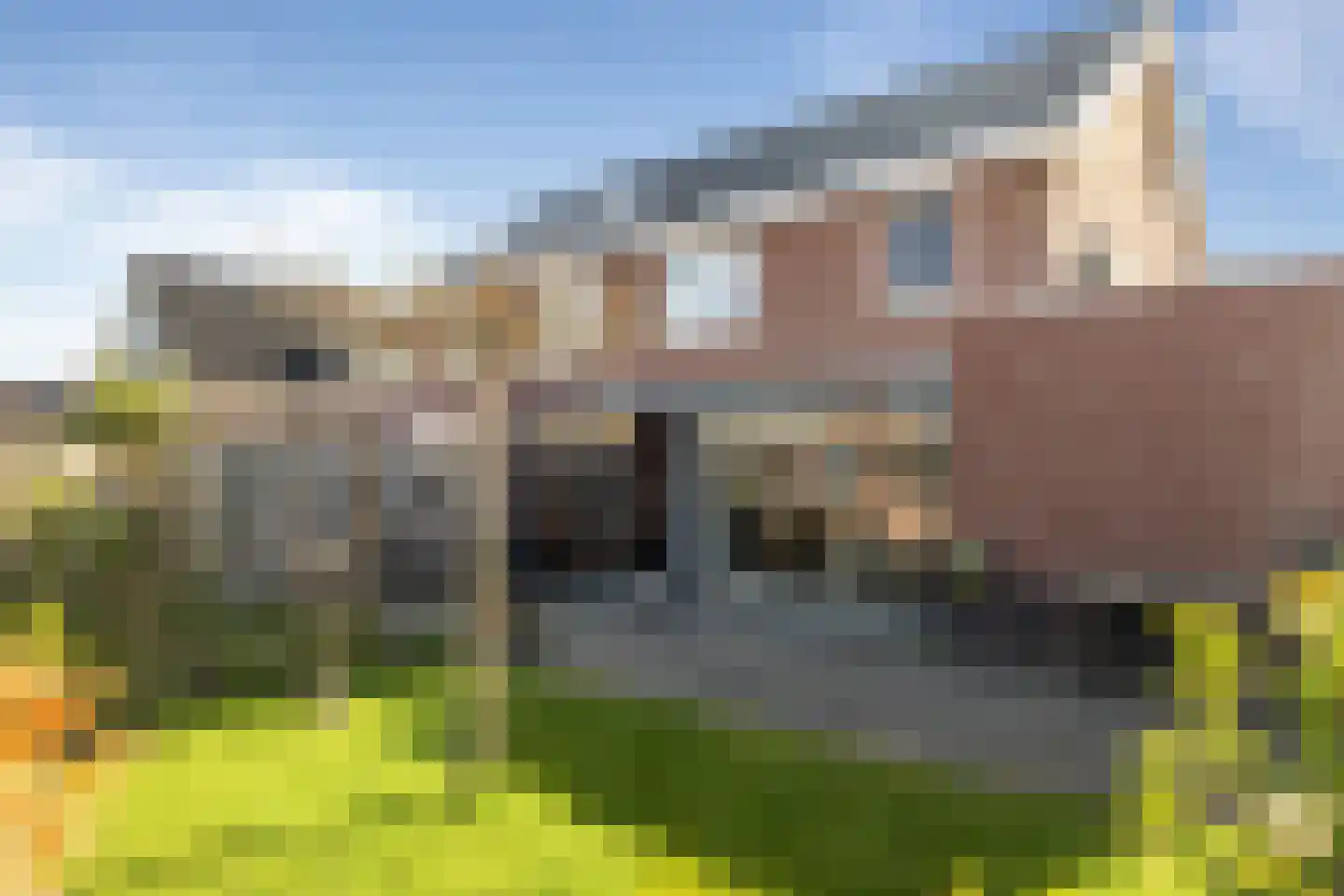 Ganzenroer 11 Nieuw-Amsterdam thumbnail 22