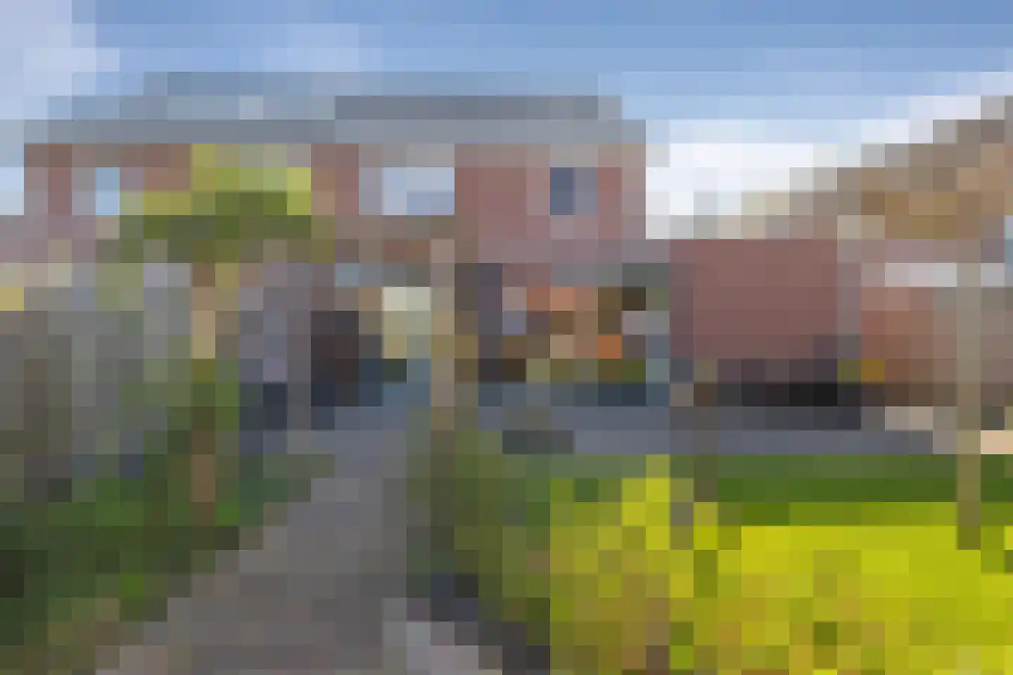 Ganzenroer 11 Nieuw-Amsterdam thumbnail 23