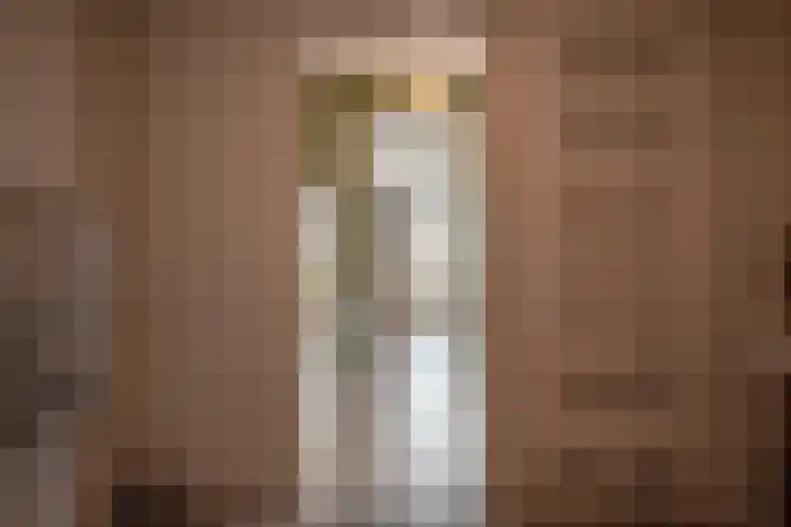 Ganzenroer 3 A Tollebeek thumbnail 12