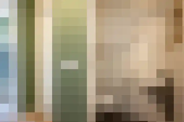 Ganzenroer 3 A Tollebeek thumbnail 13