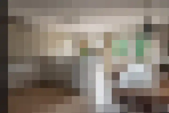 Ganzenroer 3 A Tollebeek thumbnail 14