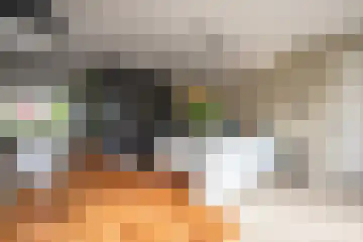 Ganzenroer 3 A Tollebeek thumbnail 16