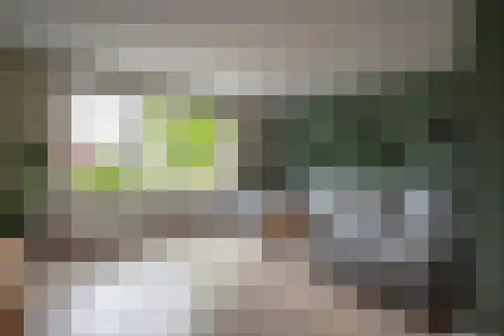 Ganzenroer 3 A Tollebeek thumbnail 18