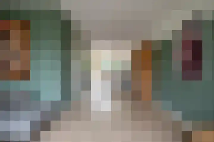 Ganzenroer 3 A Tollebeek thumbnail 20