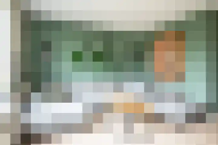 Ganzenroer 3 A Tollebeek thumbnail 21
