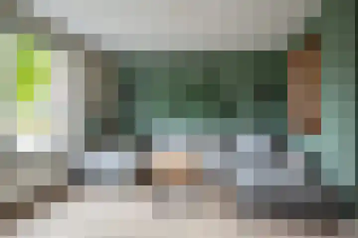 Ganzenroer 3 A Tollebeek thumbnail 22