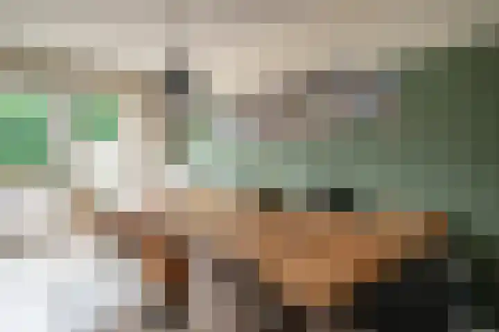 Ganzenroer 3 A Tollebeek thumbnail 23