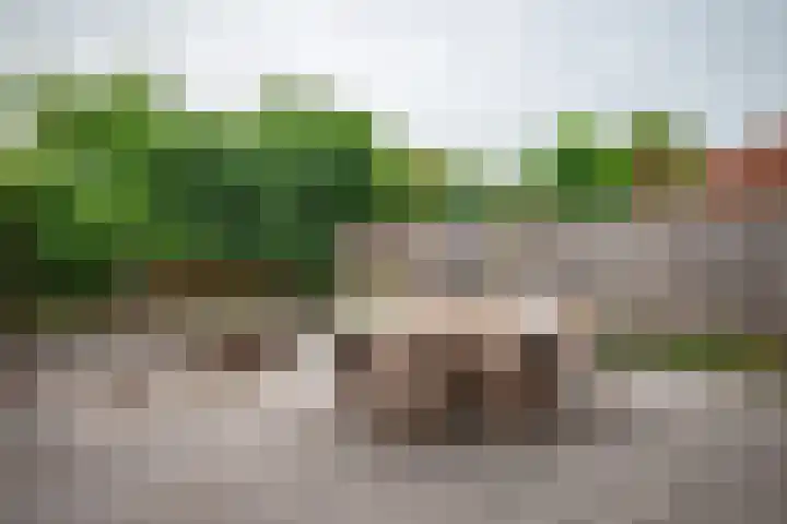 Ganzenroer 3 A Tollebeek thumbnail 24