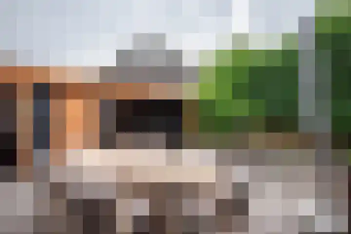 Ganzenroer 3 A Tollebeek thumbnail 25