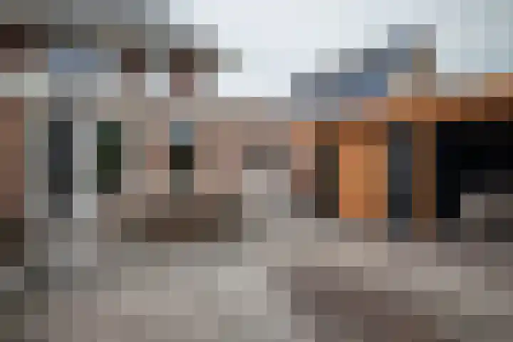 Ganzenroer 3 A Tollebeek thumbnail 27