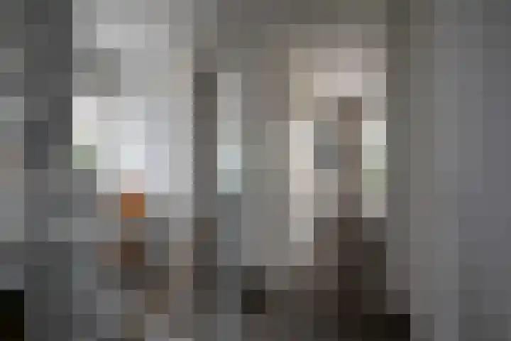 Ganzenroer 3 A Tollebeek thumbnail 29
