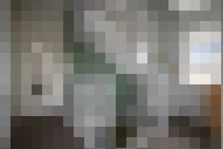 Ganzenroer 3 A Tollebeek thumbnail 30