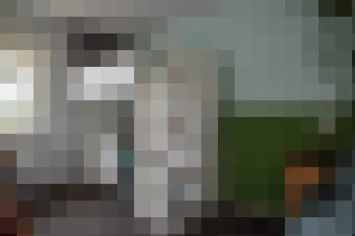 Ganzenroer 3 A Tollebeek thumbnail 31