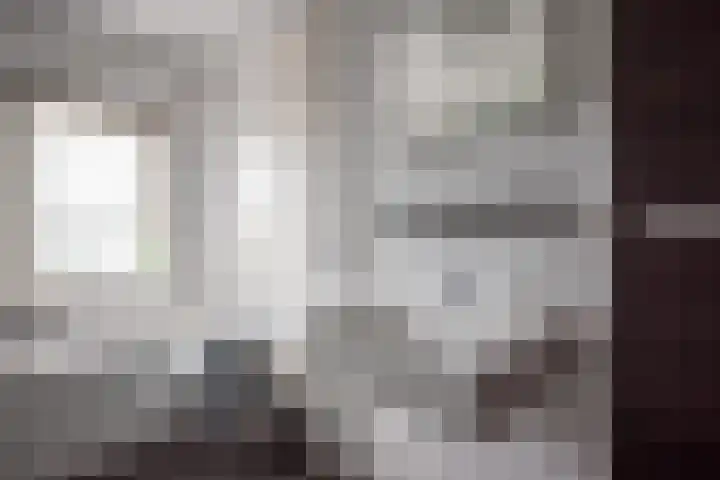 Ganzenroer 3 A Tollebeek thumbnail 39
