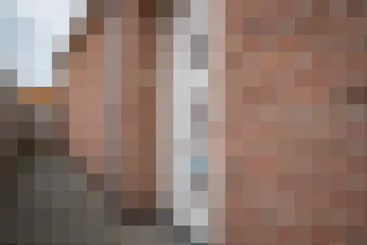 Ganzenroer 3 A Tollebeek thumbnail 4
