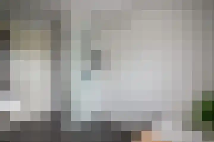 Ganzenroer 3 A Tollebeek thumbnail 40