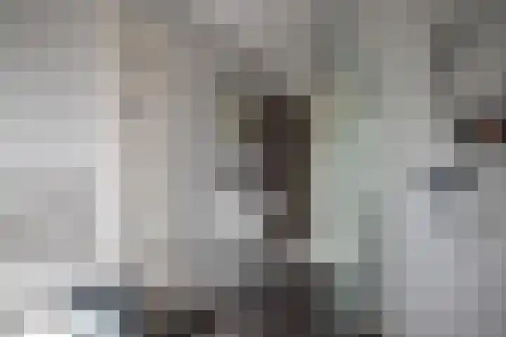 Ganzenroer 3 A Tollebeek thumbnail 41