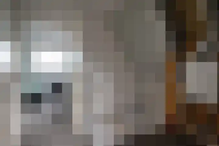 Ganzenroer 3 A Tollebeek thumbnail 42