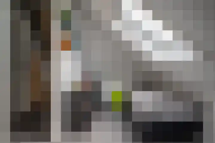 Ganzenroer 3 A Tollebeek thumbnail 45