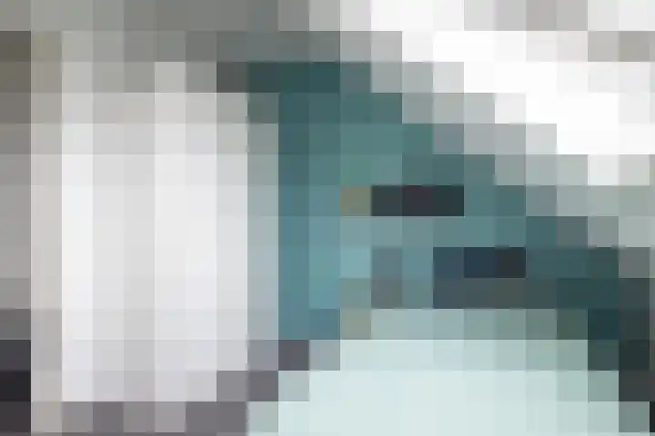 Ganzenroer 3 A Tollebeek thumbnail 47