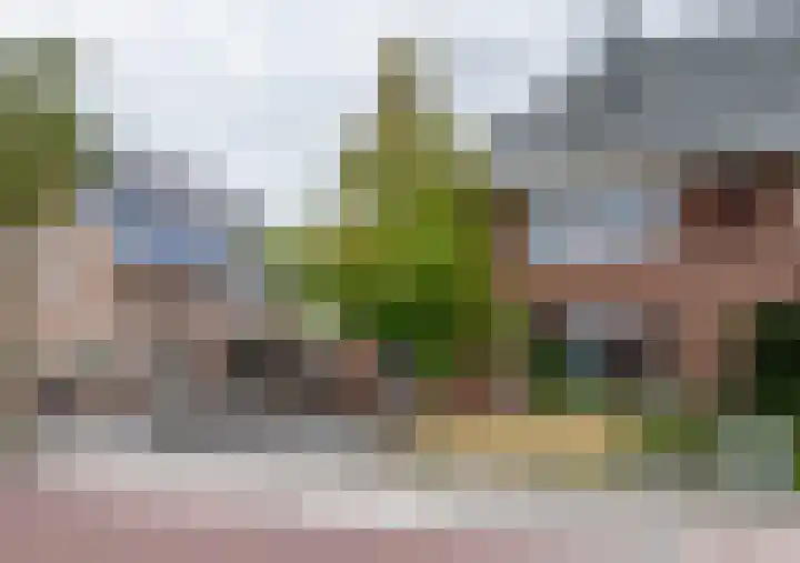 Ganzenroer 3 A Tollebeek thumbnail 48