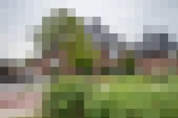 Ganzenroer 3 A Tollebeek thumbnail 49