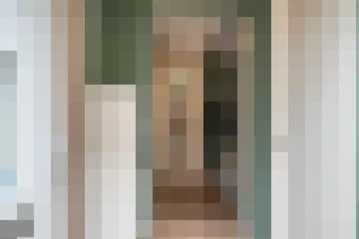 Ganzenroer 3 A Tollebeek thumbnail 5