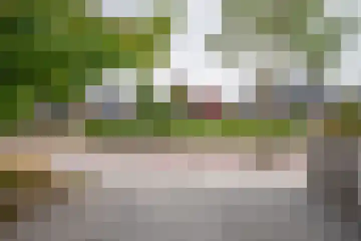 Ganzenroer 3 A Tollebeek thumbnail 50