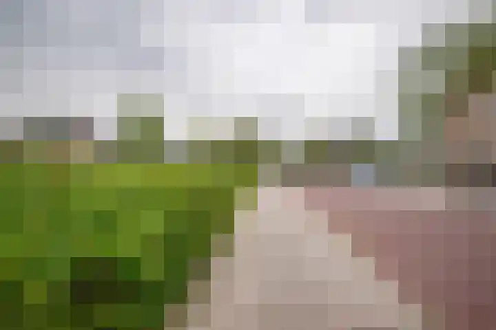 Ganzenroer 3 A Tollebeek thumbnail 51
