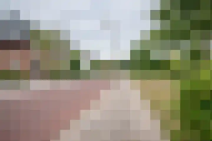 Ganzenroer 3 A Tollebeek thumbnail 52
