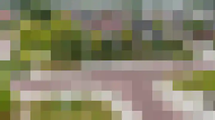 Ganzenroer 3 A Tollebeek thumbnail 53