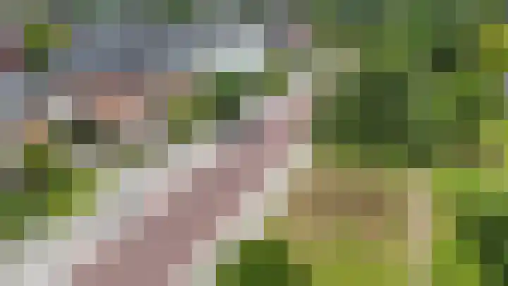 Ganzenroer 3 A Tollebeek thumbnail 54