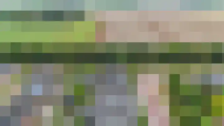 Ganzenroer 3 A Tollebeek thumbnail 55