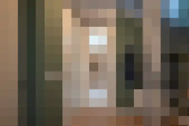 Ganzenroer 3 A Tollebeek thumbnail 6